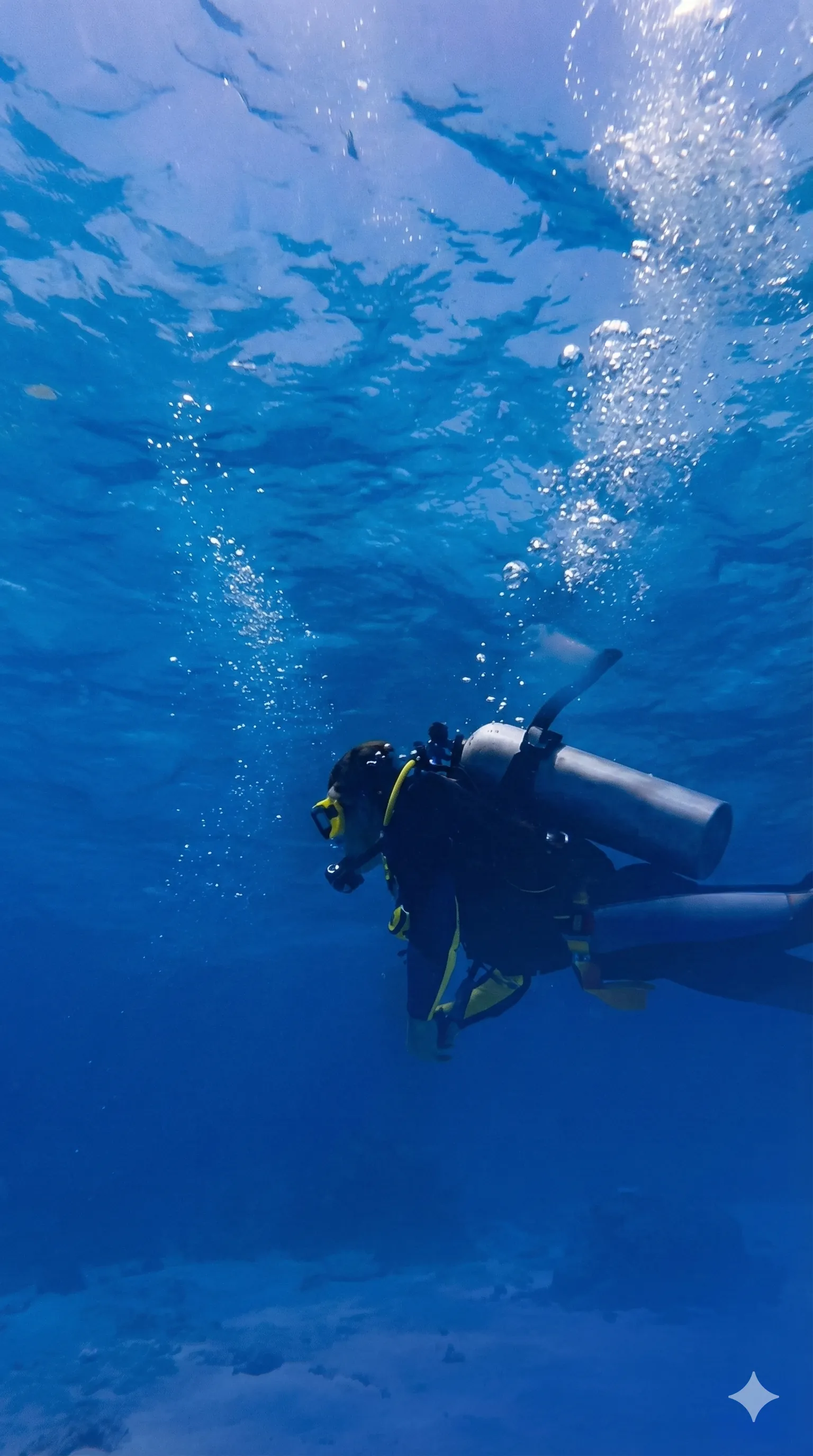 Beginner scuba diving session at Netrani Island reef in Murudeshwar, Karnataka