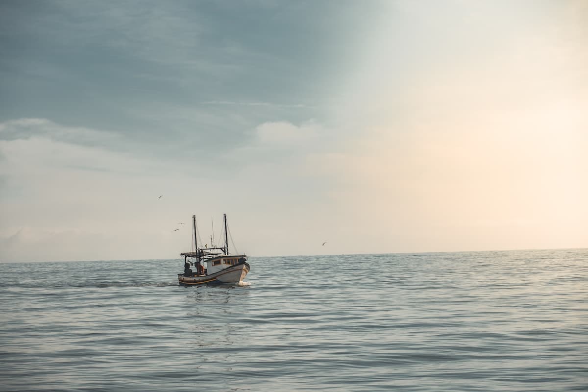 A small white dive boat heading out across calm tropical ocean water