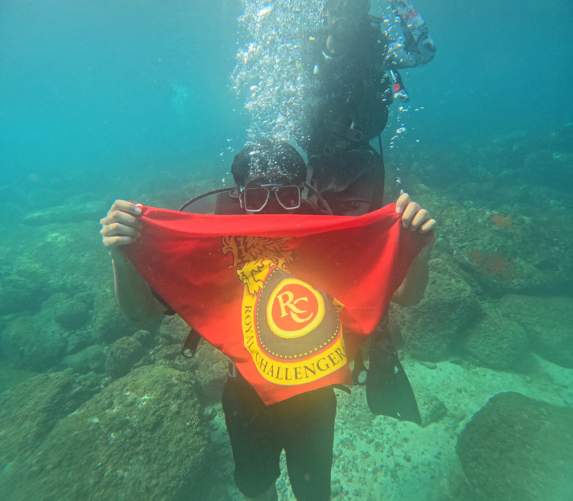 Reef fishes and diverse Arabian Sea marine life thriving at Netrani Island sanctuary