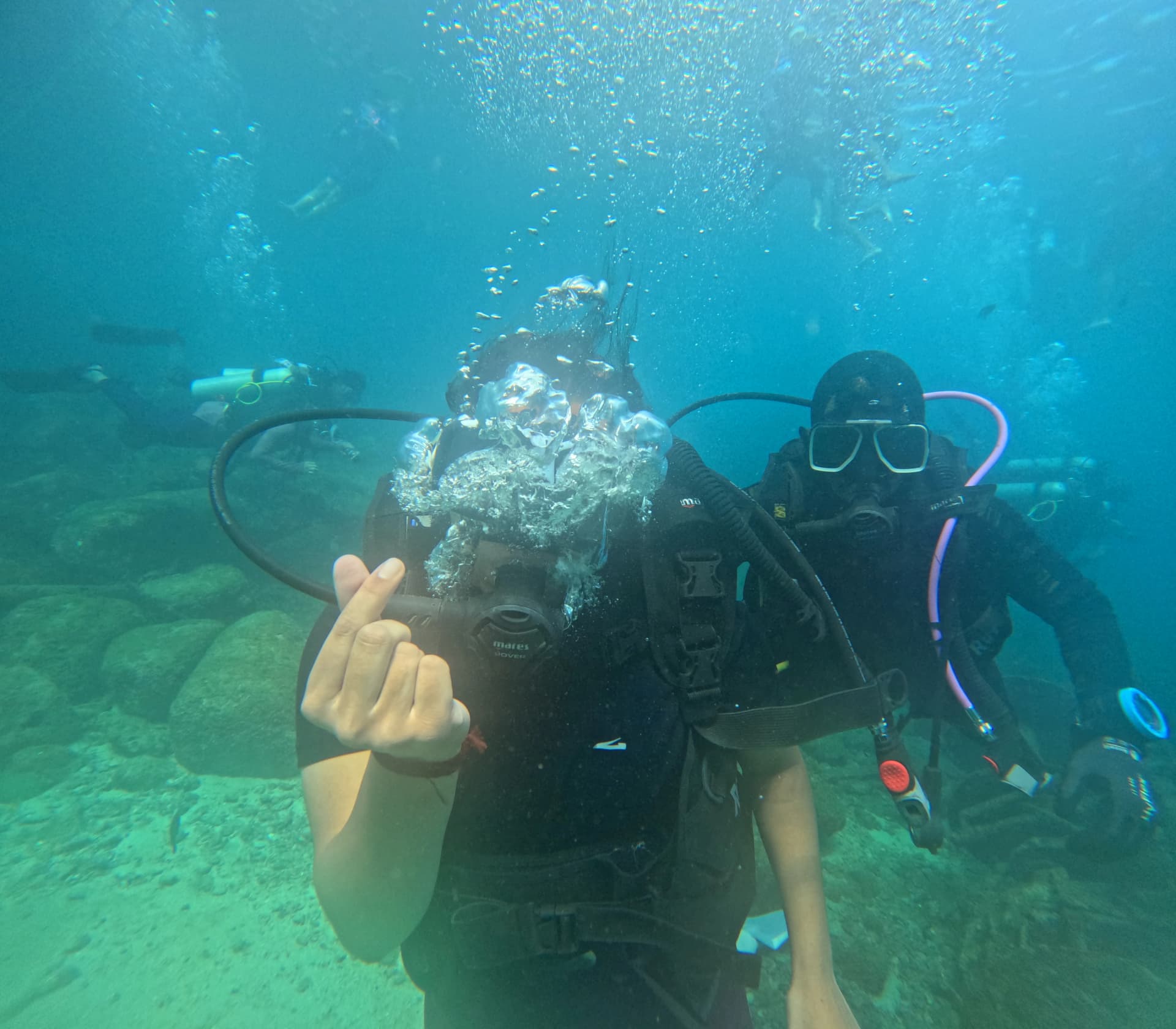 Close-up of a scuba diver exploring rich coral beds and marine flora off Murudeshwar